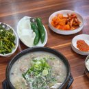 순대촌 - 청주시 상당구 중고개로 333 | 창원 내동 돼지국밥 맛집 평양왕순대촌 후기