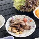 더존카라반&글램핑 이미지