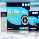 에버그린 이미지