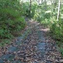 집이곡지 이미지