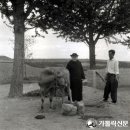 유룡농장 이미지