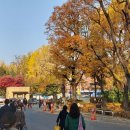 서울대학교병원 의학박물관(휴관) 이미지