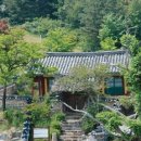 의정공 김국광사당 이미지