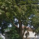 문경공고조기묘 이미지