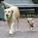 주삼