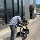 화원목장 | 대구 옥연지 송해공원 튤립 개화상황(4.11)🌷 / 오복누룽지삼계탕 / 바토플루이르 화원송해점