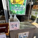 황금떡보