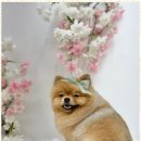 뷰티몽 이미지