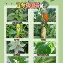 풍년농약사 이미지