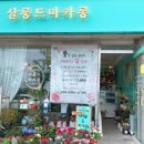 살롱드마카롱