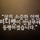 미니펫 이미지