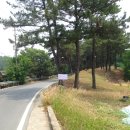유의태 카카오 검색결과