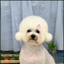 몽개구름 이미지