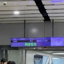[혼자 제주 여행]day1. 오랜만이야 제주! (베이커블/카페 고도)