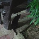 보라비치모텔 이미지