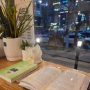 능동로L | 알라딘 필사를 위한 책모양 아크릴 문진 구입했어요 L사이즈 후기 건대점