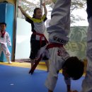 고려K타이거즈 이미지