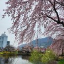 5월부터, 병원에 신분증 제시요구 이미지