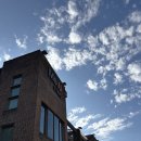 미유 하우스 | W11. 광주 웨딩포토 촬영 , 웨딩포토 스튜디오 <미유 스튜디오 / 아우어 하우스 > 촬영 후기