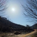 편백산림욕장 공중화장실 | 숨이 맑아지는 하루, 진안 부귀 편백숲 산림욕장에서의 온전한 힐링
