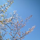 진보목욕탕 | [TB 7편: 교토~도쿄] 여기 좀 봐 거북이 돌