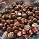 주운농장 이미지