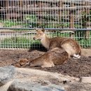 원헌목장 이미지