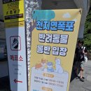 천지연 폭포 | 제주 서귀포시 천지연폭포 후기