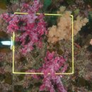 산호수산 이미지