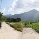 대강면사무소 이미지