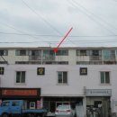 덕진-79 이미지