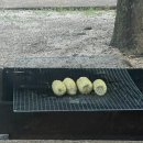 치산관광지 캠핑장 이미지