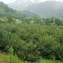 밤이농장 이미지