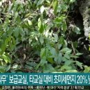 착한나무 이미지
