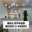 (주)셀비오 네이버블로그