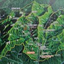 제 262차 천지산악회 10월 정기산행(오대산 비로봉, 선재길) 이미지