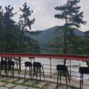 레드브릿지 이미지