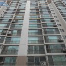 대덕대로-15 이미지