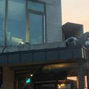 신의목장 이미지