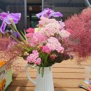 꿈이 자라는 나무 | [책방투어] 중년의 꿈이 자라는 나무와 숲ㅣ괴산 소소정원 책방