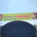 향남농장 | 화성 향남 베리굿복분자 농장 가족체험 후기