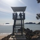 발포해수욕장 이미지