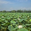 도담쉼터 이미지