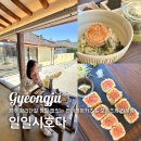 연어의고향 | [경주] 황리단길 황남동 맛집 오차즈케 일일시호다 일식맛집 + 연어레어카츠 꼭 드세요!