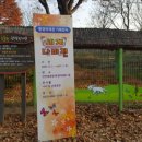 인천대공원(남문) 이미지