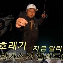 구산면 호래기낚시 이미지