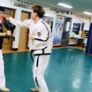 동대태권도 이미지