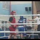 월드 복싱 체육관 이미지