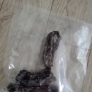 다정한 개아빠 이미지