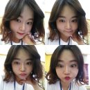 바니와 거북이 이미지